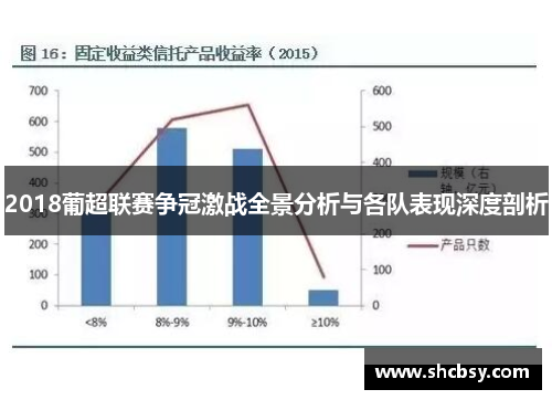 2018葡超联赛争冠激战全景分析与各队表现深度剖析