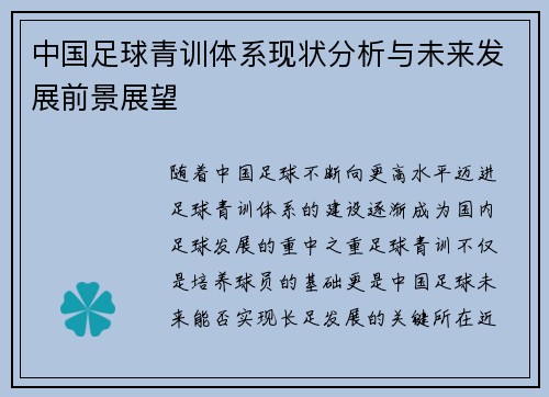 中国足球青训体系现状分析与未来发展前景展望