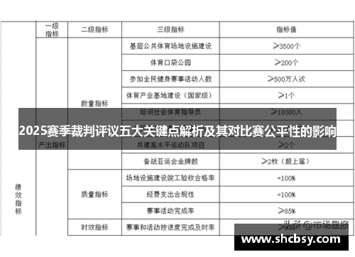 2025赛季裁判评议五大关键点解析及其对比赛公平性的影响