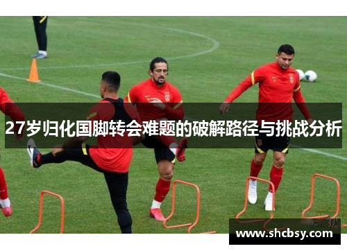 27岁归化国脚转会难题的破解路径与挑战分析
