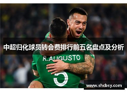 中超归化球员转会费排行前五名盘点及分析