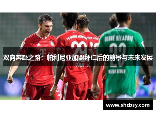 双向奔赴之路：帕利尼亚加盟拜仁后的前景与未来发展