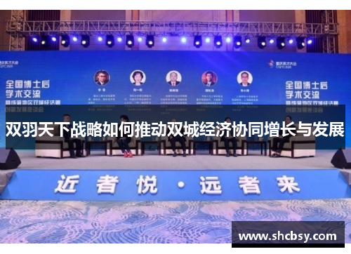 双羽天下战略如何推动双城经济协同增长与发展