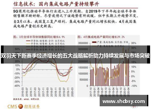 双羽天下新赛季经济增长的五大战略解析助力持续发展与市场突破