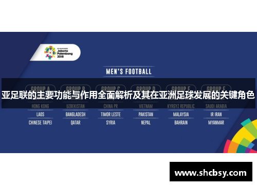 亚足联的主要功能与作用全面解析及其在亚洲足球发展的关键角色