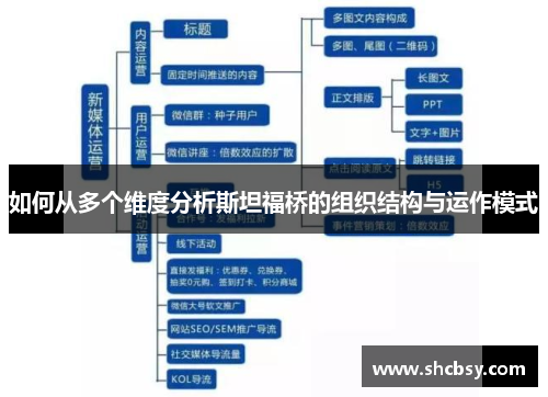 如何从多个维度分析斯坦福桥的组织结构与运作模式 如何从多个维度分析斯坦福桥的组织结构与运作模式