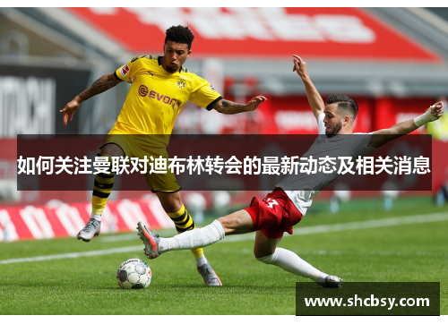 如何关注曼联对迪布林转会的最新动态及相关消息