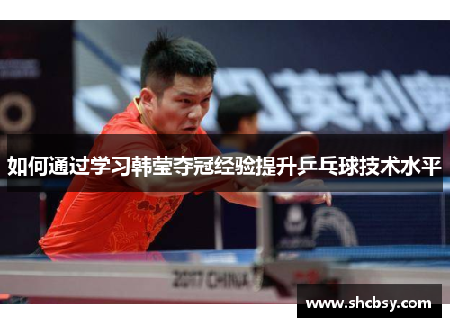 如何通过学习韩莹夺冠经验提升乒乓球技术水平