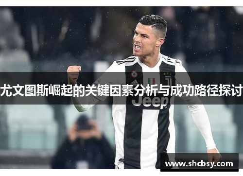 尤文图斯崛起的关键因素分析与成功路径探讨 尤文图斯崛起的关键因素分析与成功路径探讨