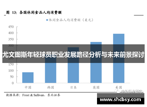 尤文图斯年轻球员职业发展路径分析与未来前景探讨