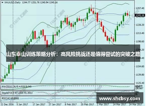 山东泰山训练策略分析：高风险挑战还是值得尝试的突破之路